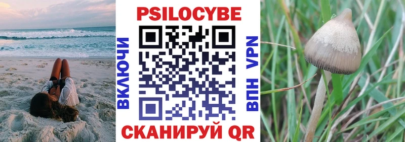 Купить закладки  Лениногорск  Псилоцибиновые грибы Cubensis 